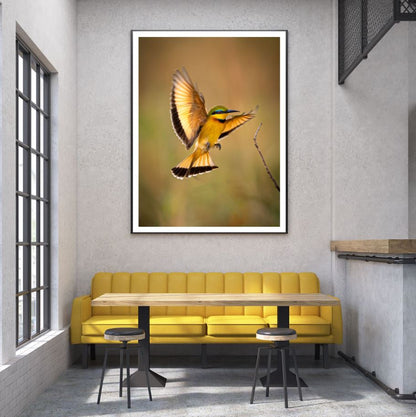 Bird Flying Closeup Photograph Home Decor Premium Quality Poster Print Choose Your Sizes