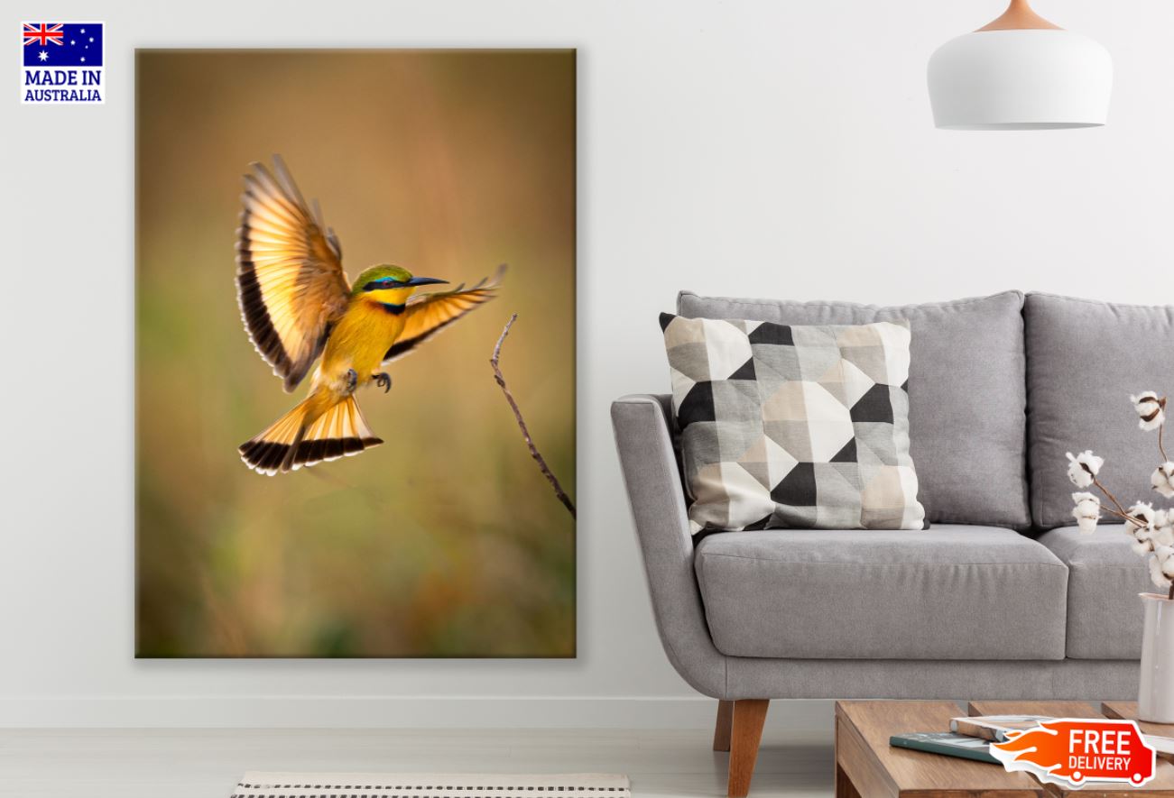 Bird Flying Closeup Photograph Print 100% Australian Made