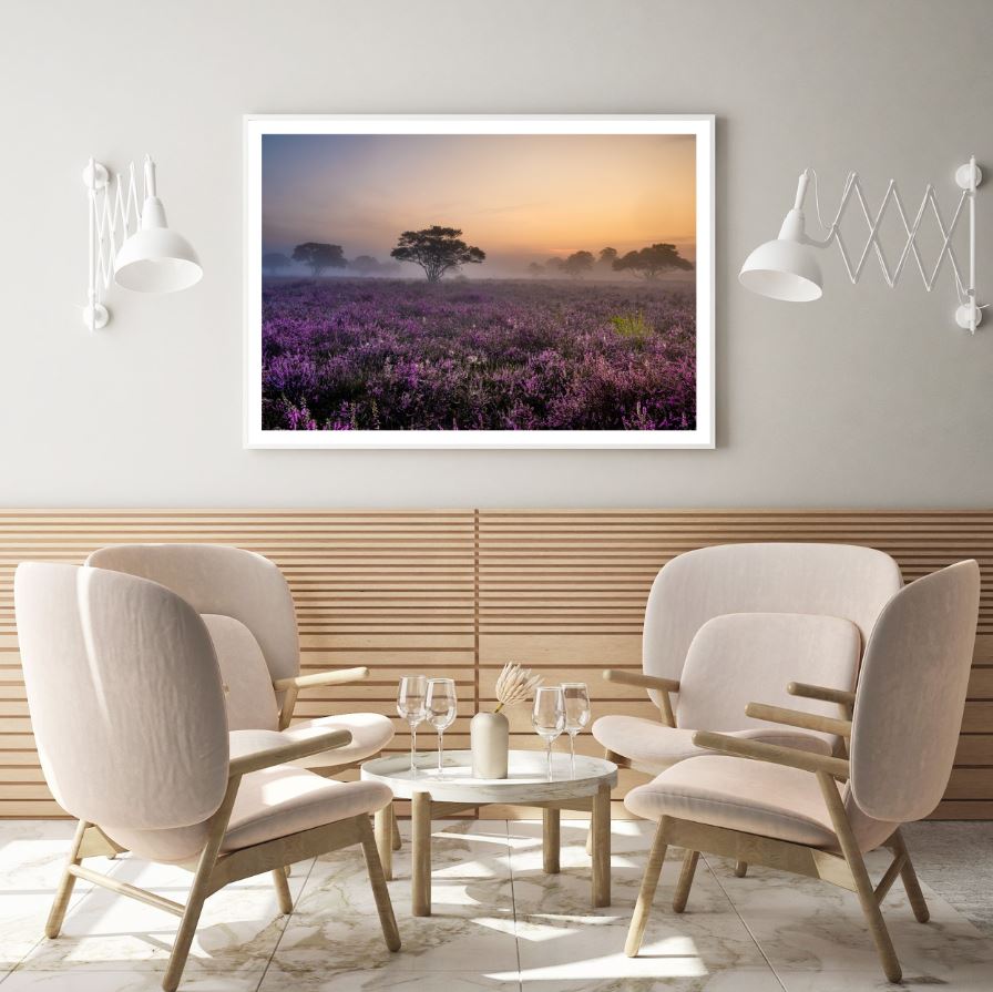 Flower Field Sunset Scenery View Home Decor Premium Quality Poster Print Choose Your Sizes