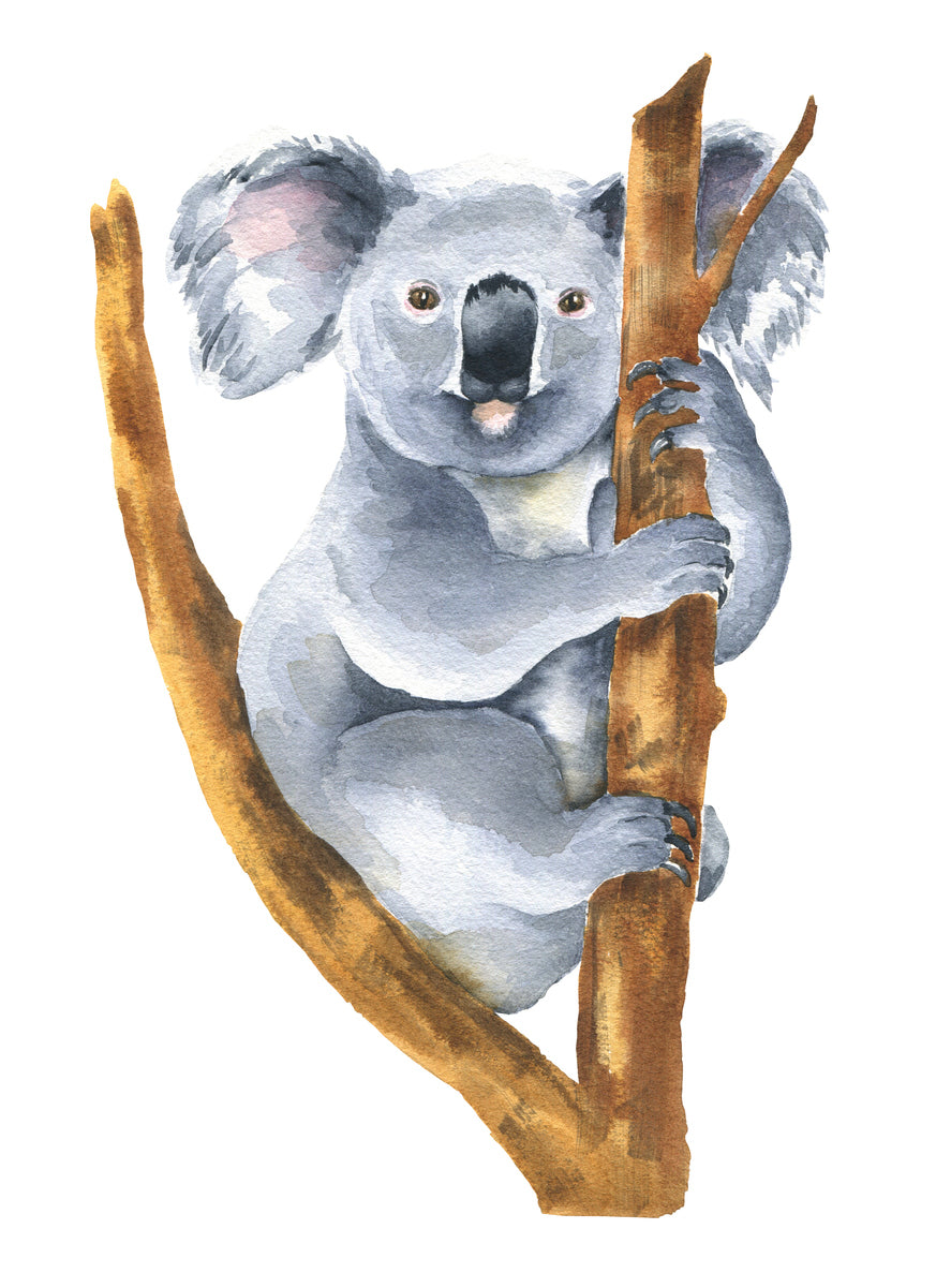 Koala Bear on a Tree Painting Home Decor Premium Quality Poster Print Choose Your Sizes