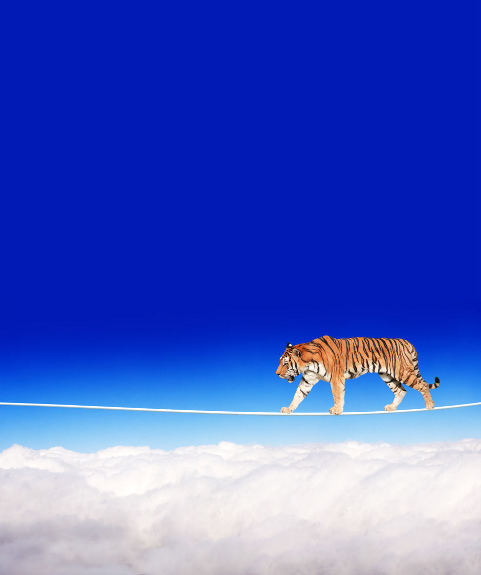 Tiger & Sky Scenery Photograph Print 100% Australian Made