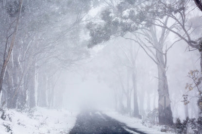 Snow Misty Road Photograph Print 100% Australian Made