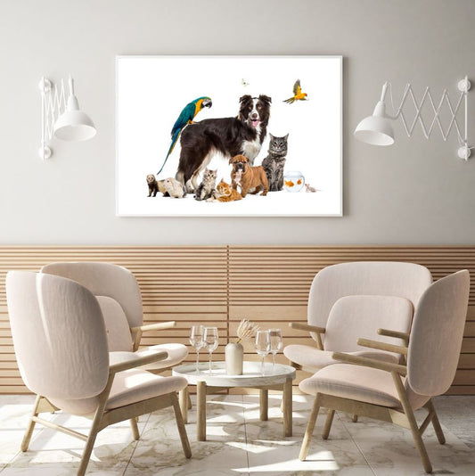 Dog Cats & Birds Photograph Home Decor Premium Quality Poster Print Choose Your Sizes