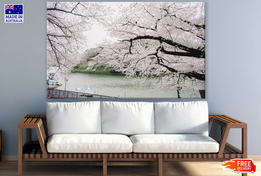 Blossom Trees Near River View Print 100% Australian Made