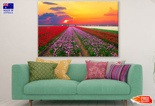 Colorful Flower Field Photograph Print 100% Australian Made