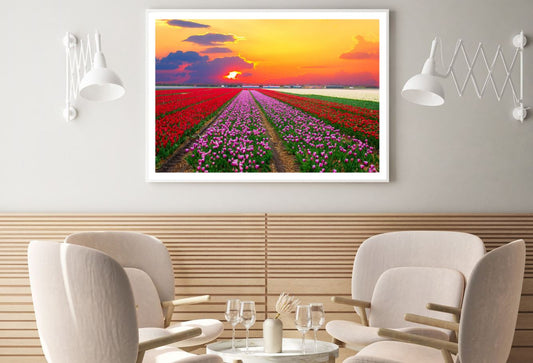 Colorful Flower Field Photograph Home Decor Premium Quality Poster Print Choose Your Sizes