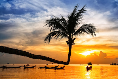 Palm Tree & Sea Sunset Photograph Print 100% Australian Made