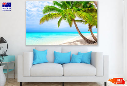 Palm Trees Near Sea Photograph Print 100% Australian Made