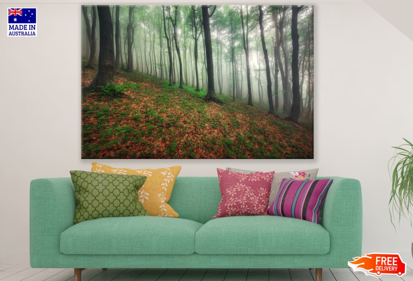 Misty Forest Scenery Photograph Print 100% Australian Made