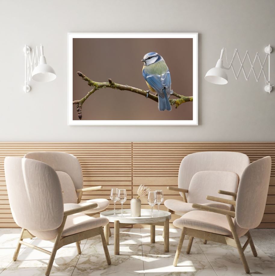 Little Bird on Tree Photograph Home Decor Premium Quality Poster Print Choose Your Sizes