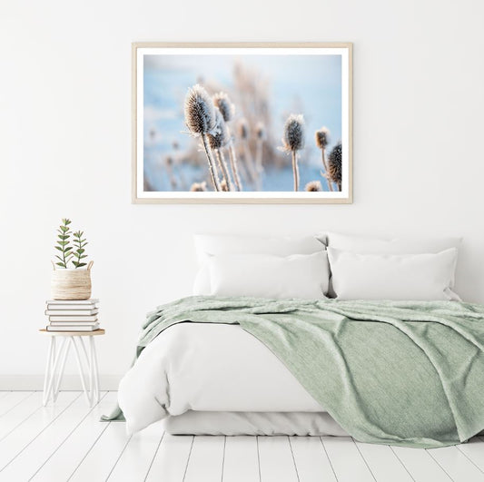 Dry Grass Flower Macro Photograph Home Decor Premium Quality Poster Print Choose Your Sizes