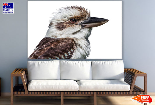 Kookaburra Bird Portrait Painting Print 100% Australian Made