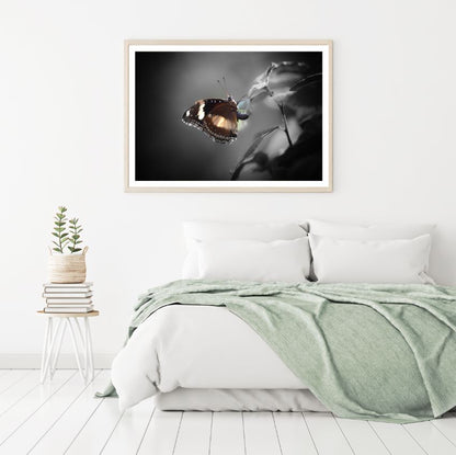 Butterfly Closeup Photograph Home Decor Premium Quality Poster Print Choose Your Sizes