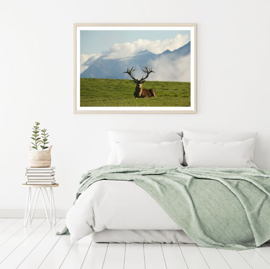 Deer in Meadow Scenery Photograph Home Decor Premium Quality Poster Print Choose Your Sizes