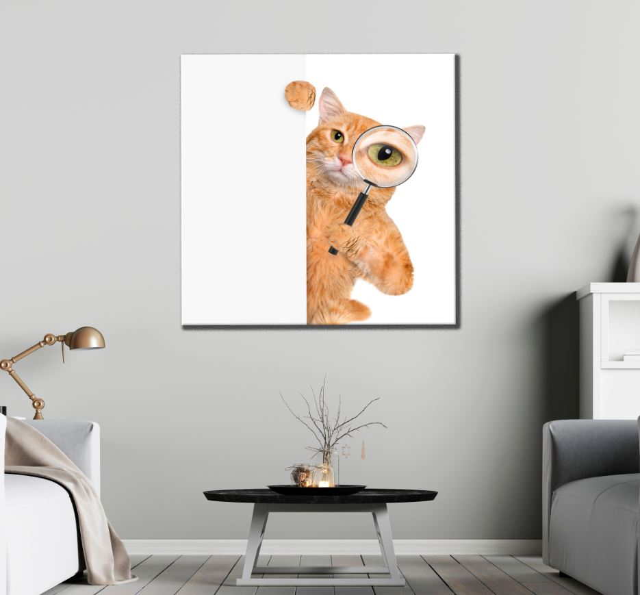 Square Canvas Cat with Magnifing Glass High Quality Print 100% Australian Made