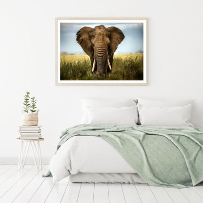 Elephant Portrait Photograph Home Decor Premium Quality Poster Print Choose Your Sizes