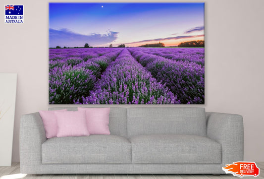 Lavender Field Sunset Photograph Print 100% Australian Made