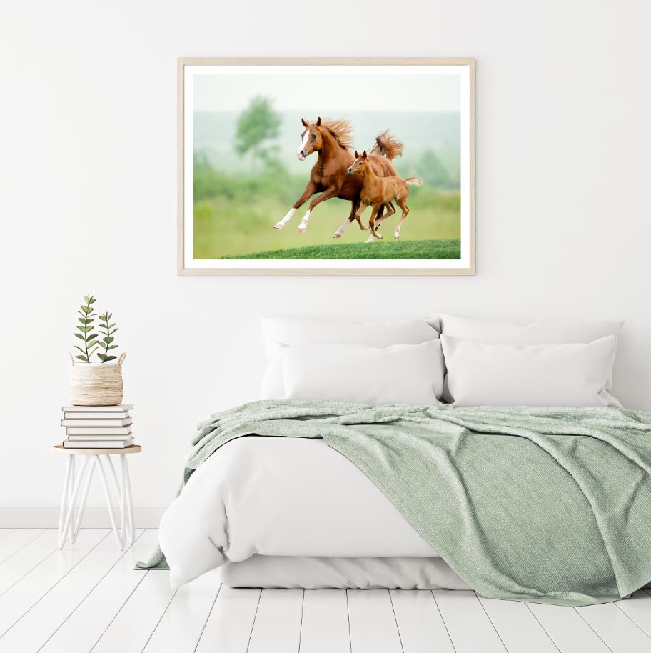 Horses Running on Ground Scenery Home Decor Premium Quality Poster Print Choose Your Sizes