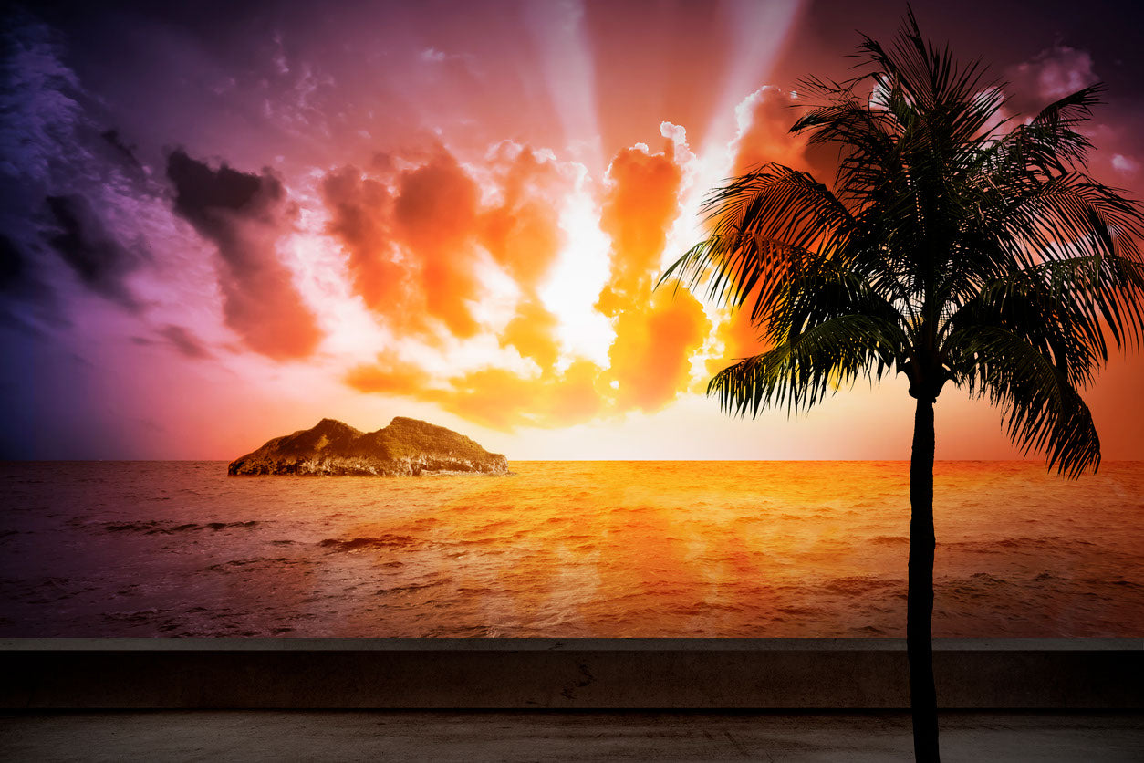 Palm Tree & Sunset Sky Photograph Print 100% Australian Made