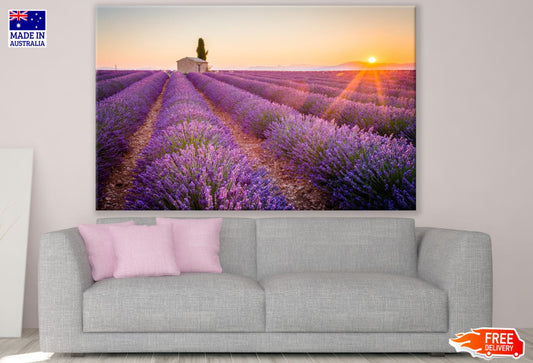 Lavender Field Sunset Scenery Print 100% Australian Made
