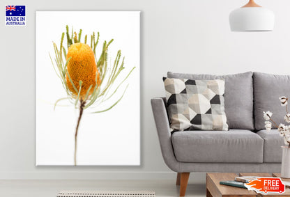 Yellow Flower Closeup Photograph Print 100% Australian Made