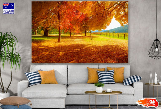 Autumn Forest Scenery Photograph Print 100% Australian Made