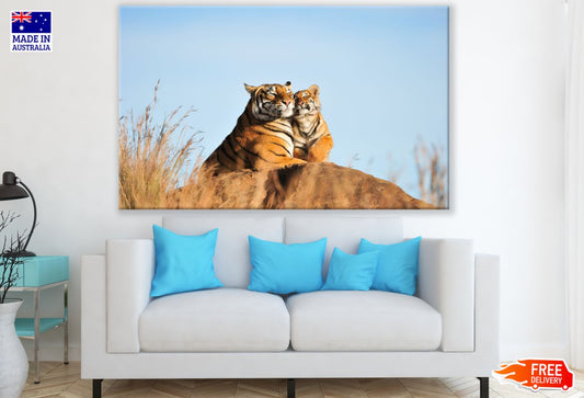 Tiger Pair on a Rock Photograph Print 100% Australian Made