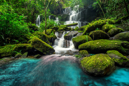 Waterfall in Forest Scenery Photograph Print 100% Australian Made