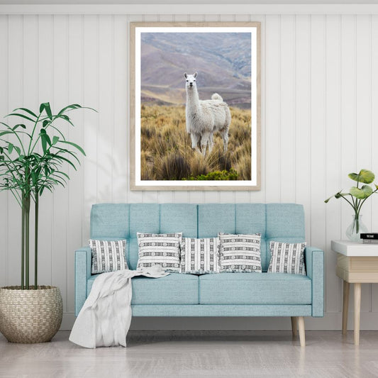 Llama on Grass Field Photograph Home Decor Premium Quality Poster Print Choose Your Sizes