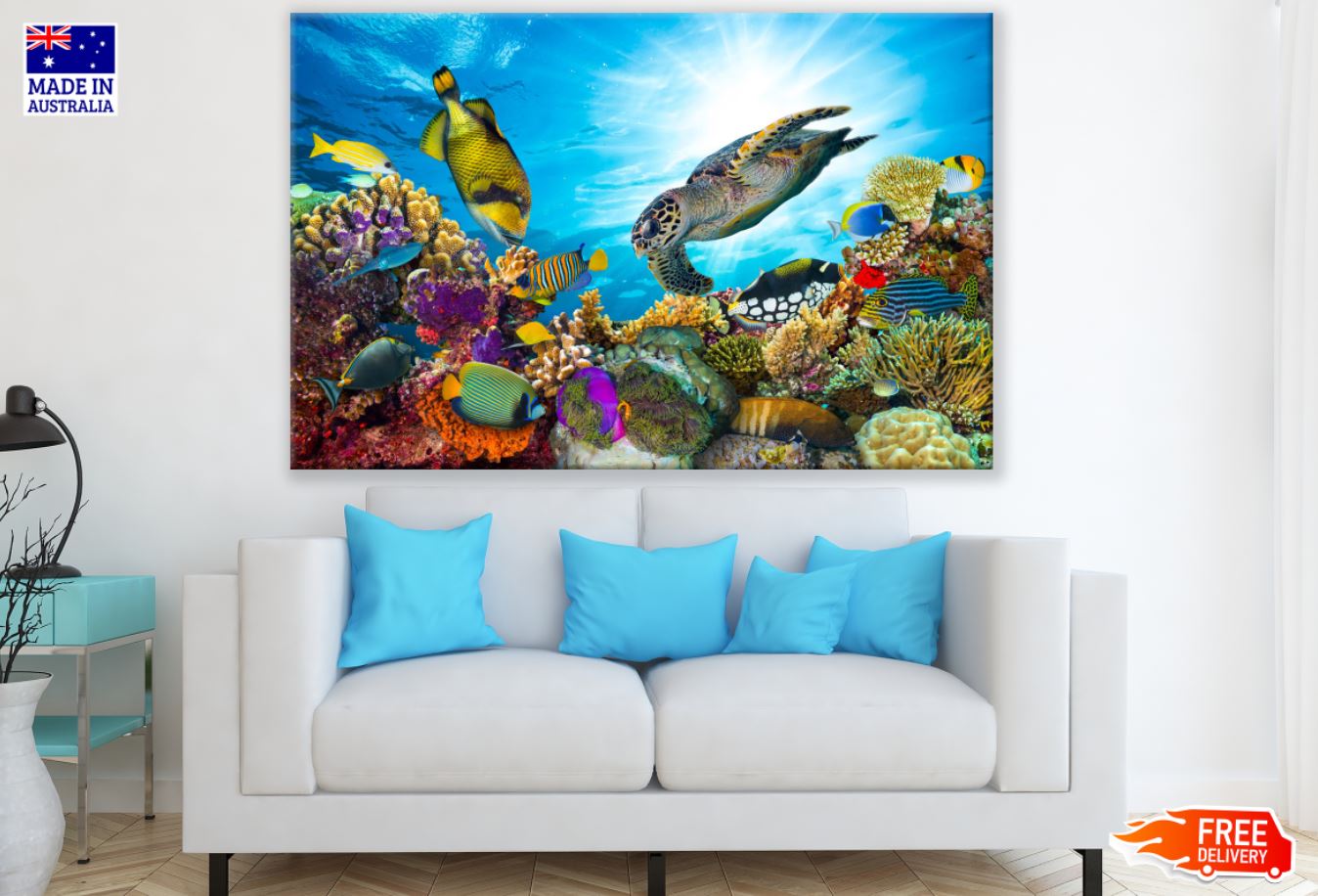 Under Sea Animals Photograph Print 100% Australian Made