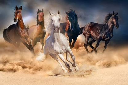 Horses Running On Sand Photograph Home Decor Premium Quality Poster Print Choose Your Sizes