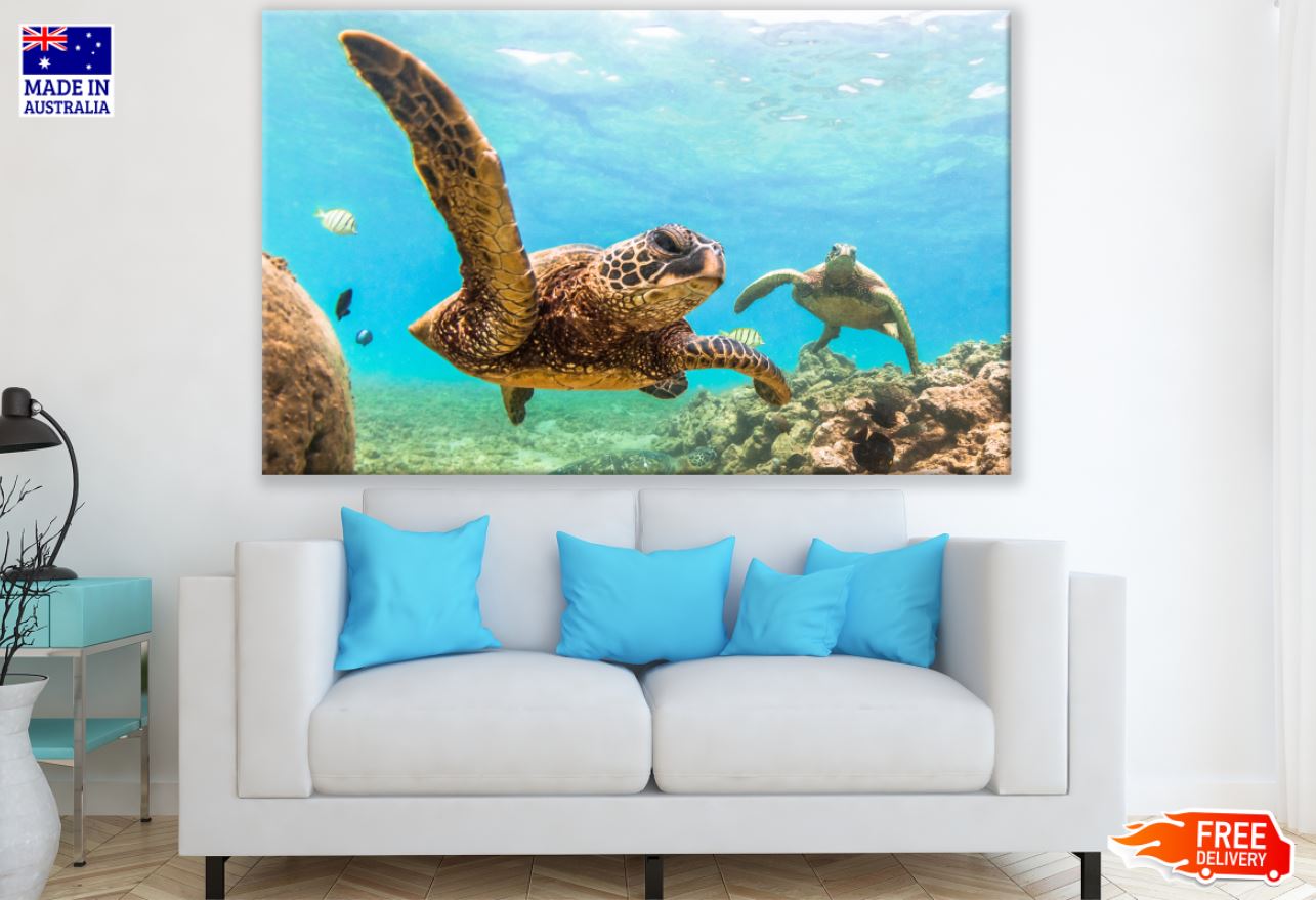 Turtles in Scenery Sea Photograph Print 100% Australian Made