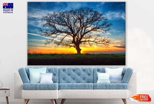 Tree & Sunset Sky Scenery View Paint Print 100% Australian Made