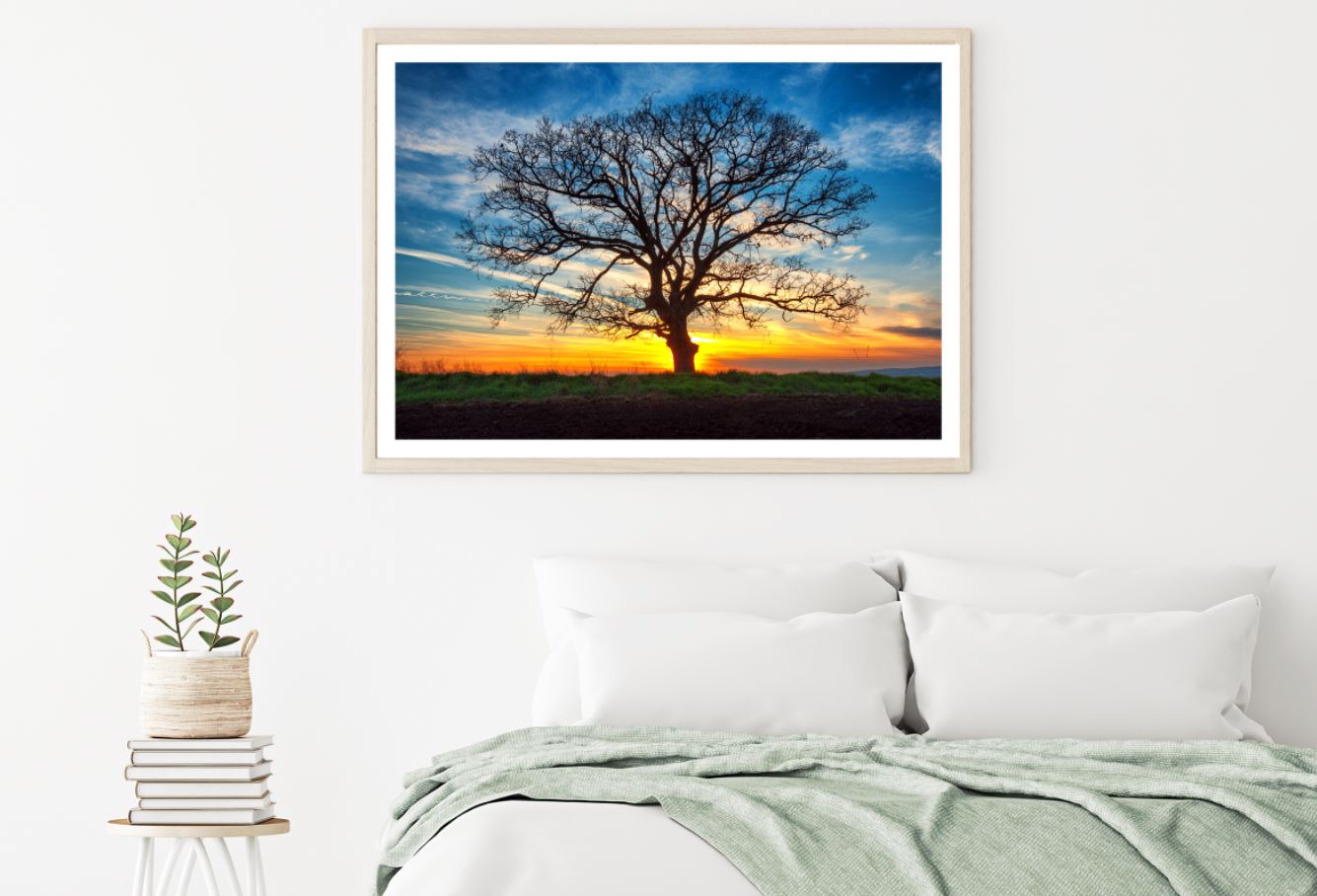 Tree & Sunset Sky Scenery View Home Decor Premium Quality Poster Print Choose Your Sizes