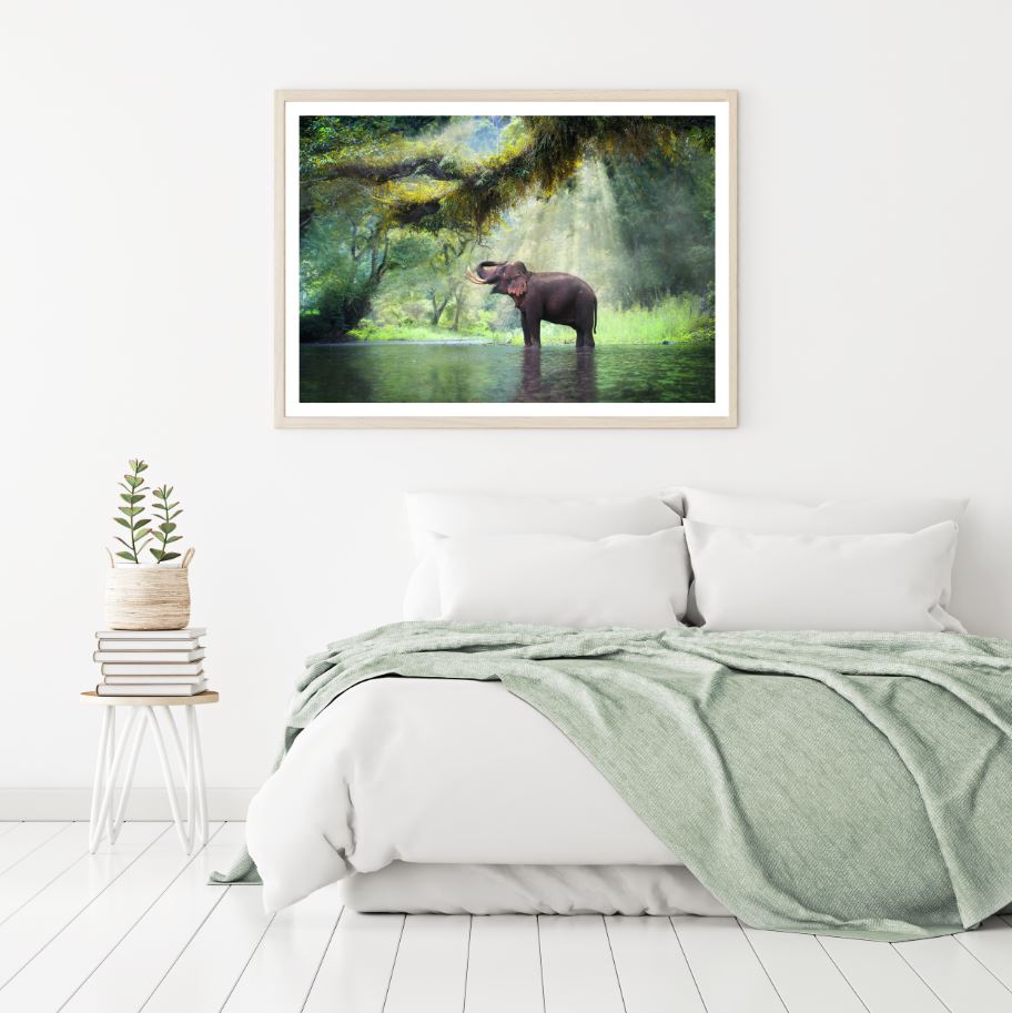 Elephant Near River Photograph Home Decor Premium Quality Poster Print Choose Your Sizes