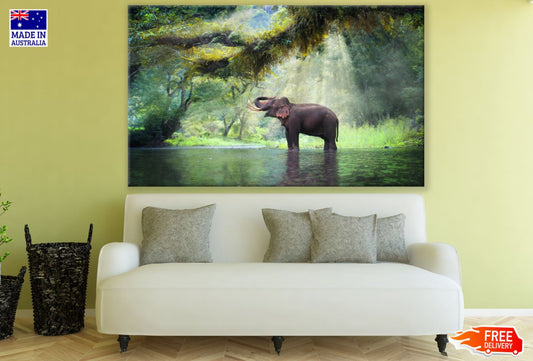 Elephant Near River Photograph Print 100% Australian Made