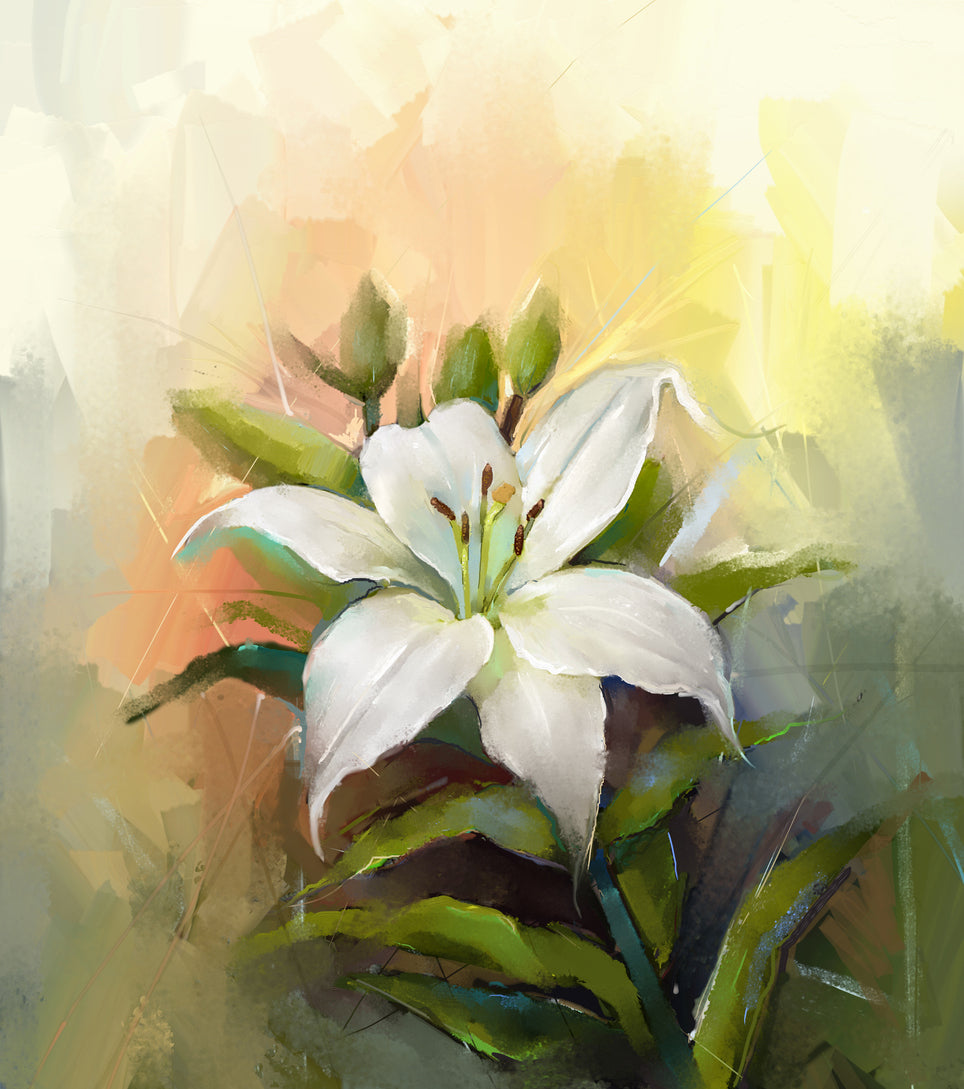 Square Canvas White Flower Closeup Painting High Quality Print 100% Australian Made