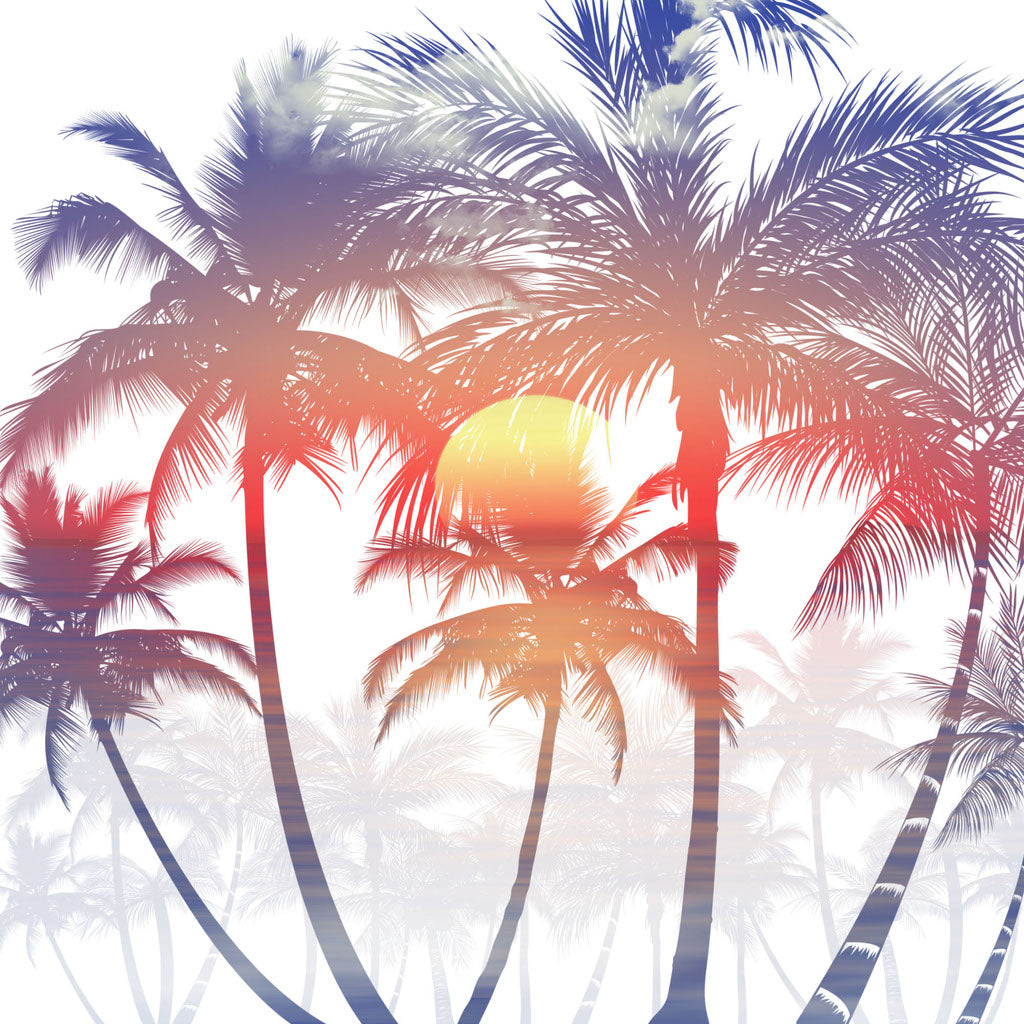 Square Canvas Palm Trees & Sunset View High Quality Print 100% Australian Made