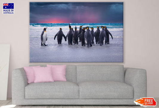 Penguins Near Sea Photograph Print 100% Australian Made