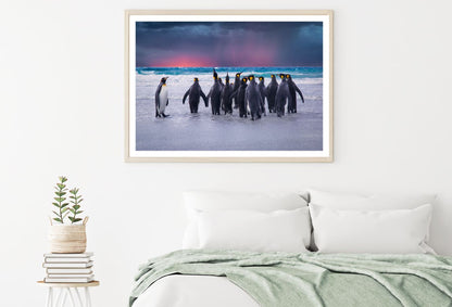 Penguins Near Sea Photograph Home Decor Premium Quality Poster Print Choose Your Sizes