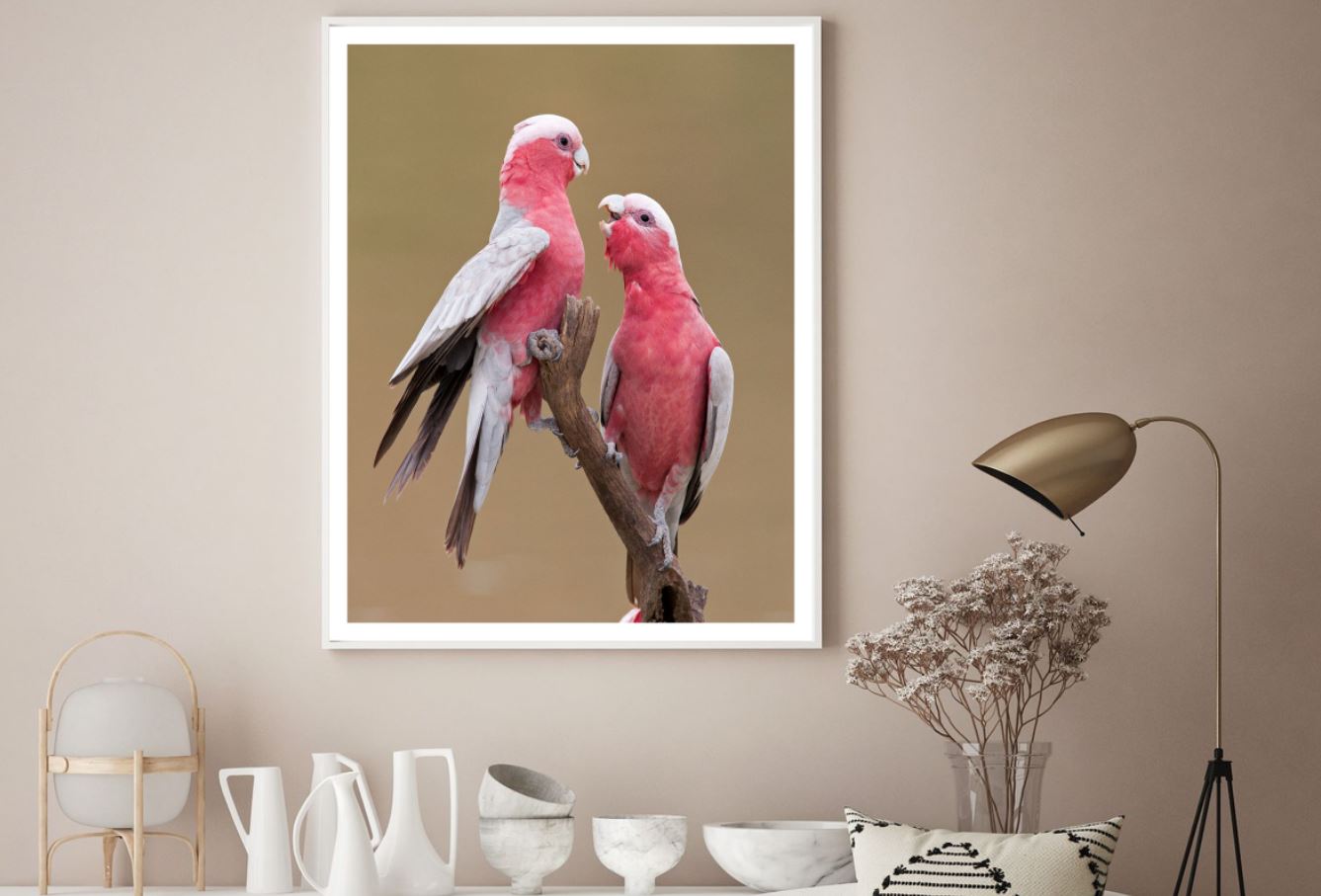 Love Birds on Tree Photograph Home Decor Premium Quality Poster Print Choose Your Sizes