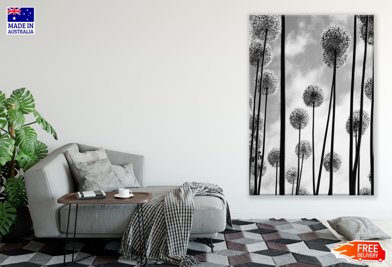 Dandelion Flowers B&W Photograph Print 100% Australian Made