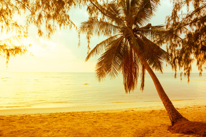 Sea & Palm Tree Sunset Photograph Print 100% Australian Made