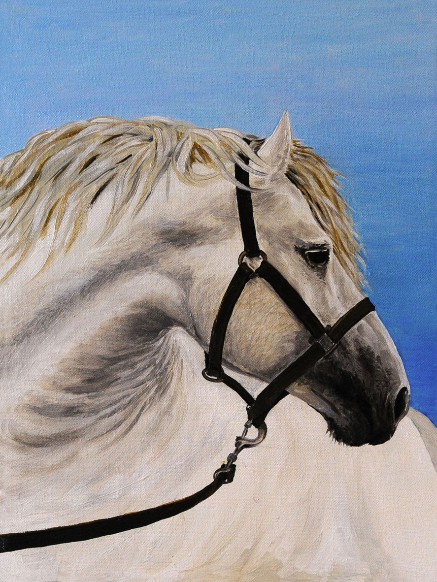 Horse Portrait Watercolor Paint Print 100% Australian Made