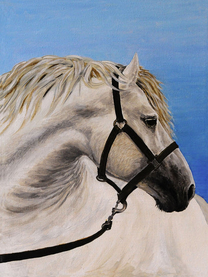 Horse Portrait Watercolor Paint Print 100% Australian Made