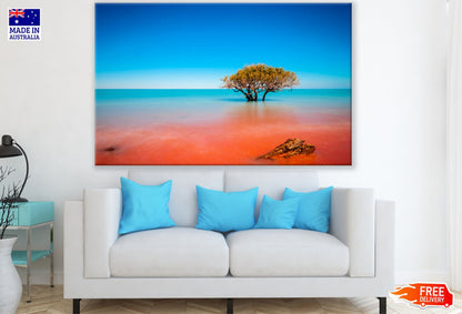 Tree in Sea Scenery Photograph Print 100% Australian Made