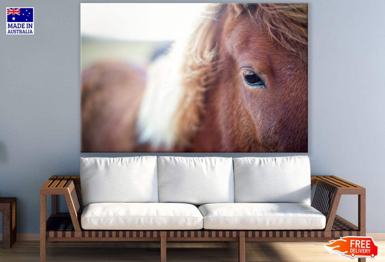 Horse Portrait Eye Photograph Print 100% Australian Made