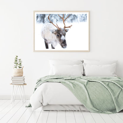 Deer in Snow Forest Photograph Home Decor Premium Quality Poster Print Choose Your Sizes