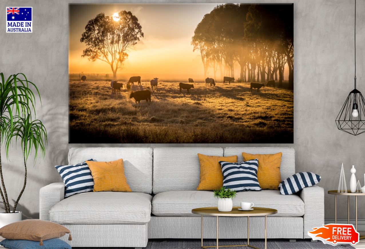 Cows on Meadow at Sunset Scenery Print 100% Australian Made