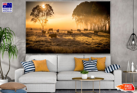 Cows on Meadow at Sunset Scenery Print 100% Australian Made